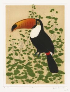 Toucan