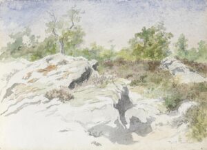 Paysage boisé aux grands rochers